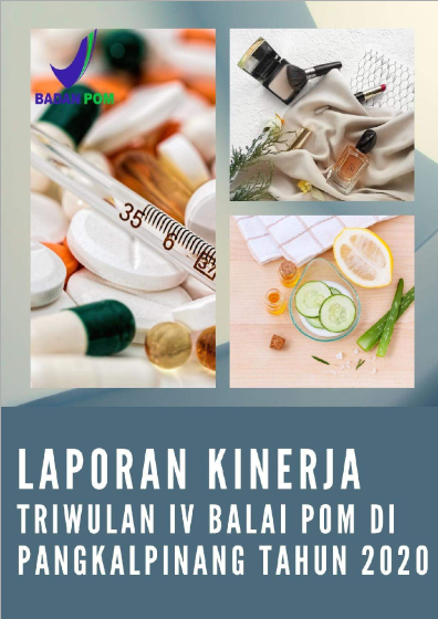 LapKin Interim IV TA 2020